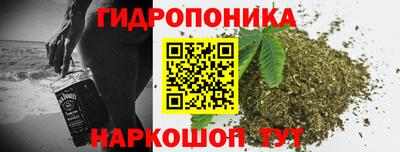 стафф Дубна
