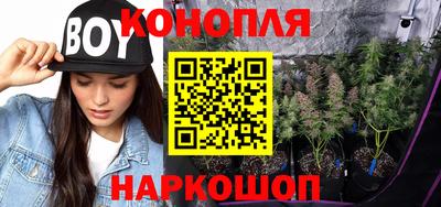 стафф Дубна