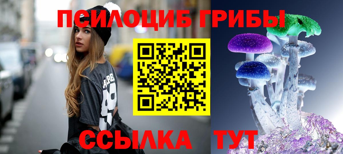 Коряжма  Псилоцибиновые грибы прущие грибы  Вход с VPN 