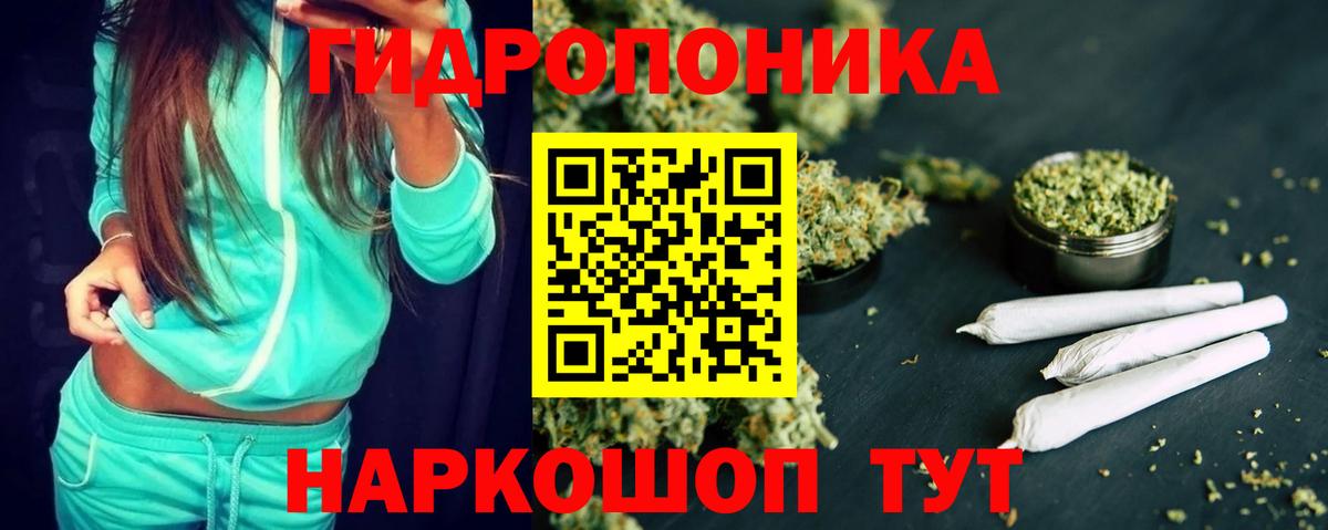 Марихуана тримм  Вход с VPN  Коряжма  Марихуана сатива 